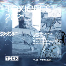  KOTZ ART HOOLZ